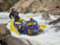 Echo Canyon River Expeditions