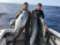 Killshot Spearfishing Charters