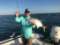 Capt. Dan's Fishing Charters