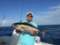 Big Game Sportfishing