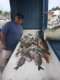 Carole Ann II Private Fishing Charters