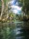 Manatee Paddle