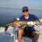 Gulf to Bay Fishing Charters