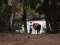 Horseback Riding at Deer Prairie Creek Preserve