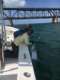 Bahia Honda Tarpon Charters