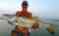 Clearwater Fishing Charters