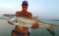 Clearwater Fishing Charters