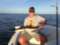 Fishing Sarasota Florida - Day Tours