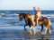 Horses On The Beach: Corpus Christi