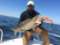 Bite Back Fishing Charters