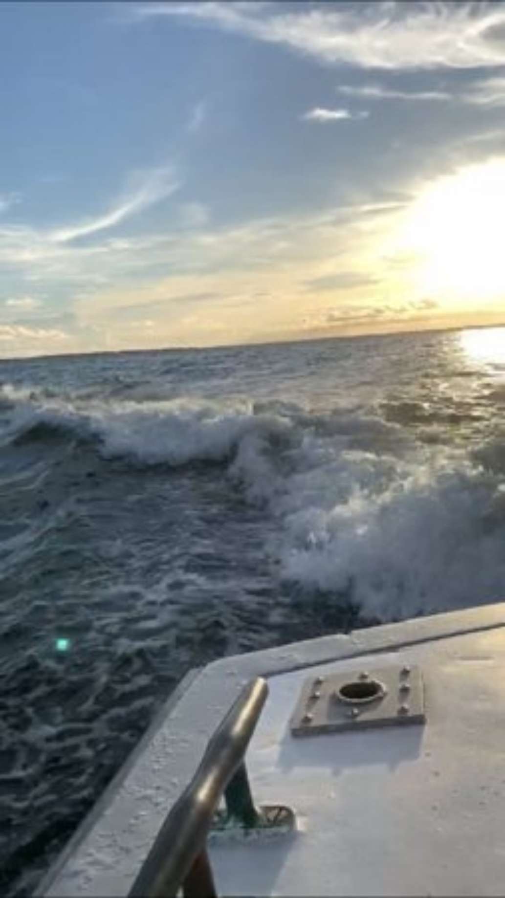 Dolphin Express