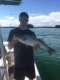 Striper Fishing Guide on Lanier