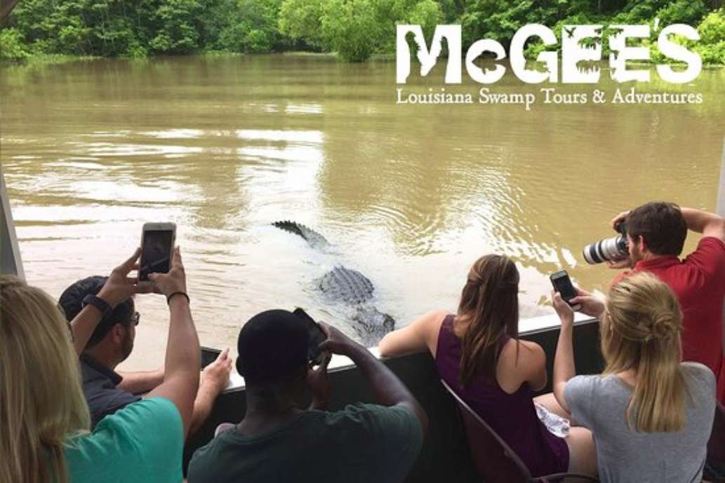 mcgee's louisiana swamp and airboat tours henderson la