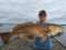 Cajun Fishing and Hunting Charters