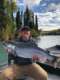 Kenai Flyfish