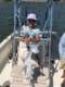 Fish Call Charters - Private Tours