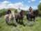 Jackson Hole Pack Trips and Trail Rides