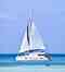 Catch The Cat - Private Sailing Charters