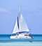 Catch The Cat - Private Sailing Charters