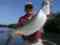 San Juan Bay Fishing Charters