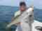 Casual Lies Fishing Charters