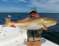 Reel Florida Fishing Charters