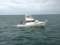 Gulfstream II Fishing Charters