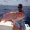 Fins Sport Fishing