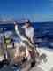 Blue Hawaii Sportfishing