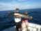 Marlin My Darlin/ All- Inclusive Sportfishing