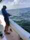 Nicole Fishing Charters