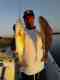 Palm Coast Fishing Trips