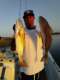 Palm Coast Fishing Trips