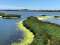 Bolsa Chica Ecological Reserve