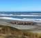 Crescent City - Del Norte County Visitor Center