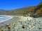 Sand Dollar Beach