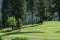 Plumas Pines Golf Course