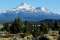 Mount Shasta