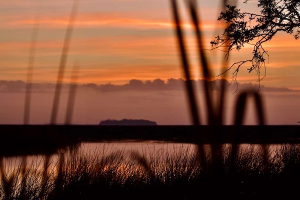 Fort McAllister State Park