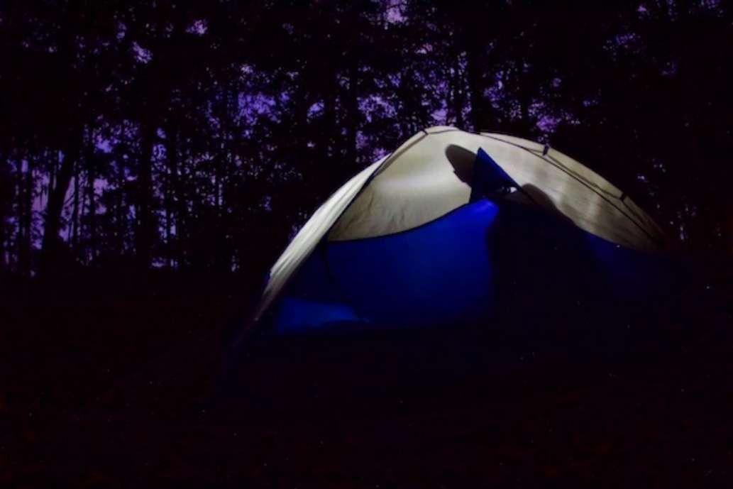 Fort McAllister State Park