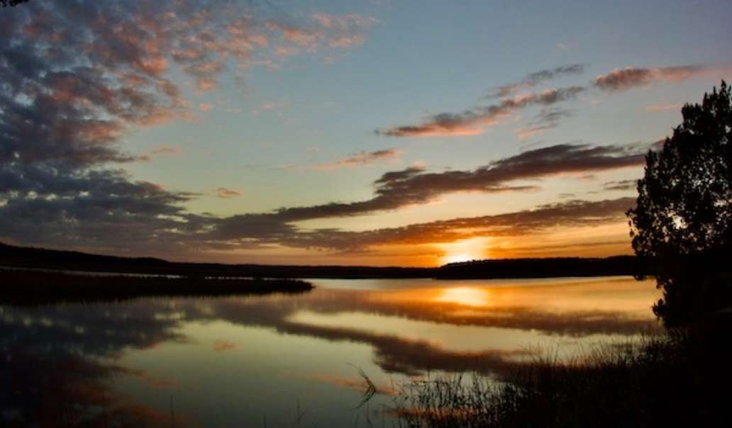 Fort McAllister State Park