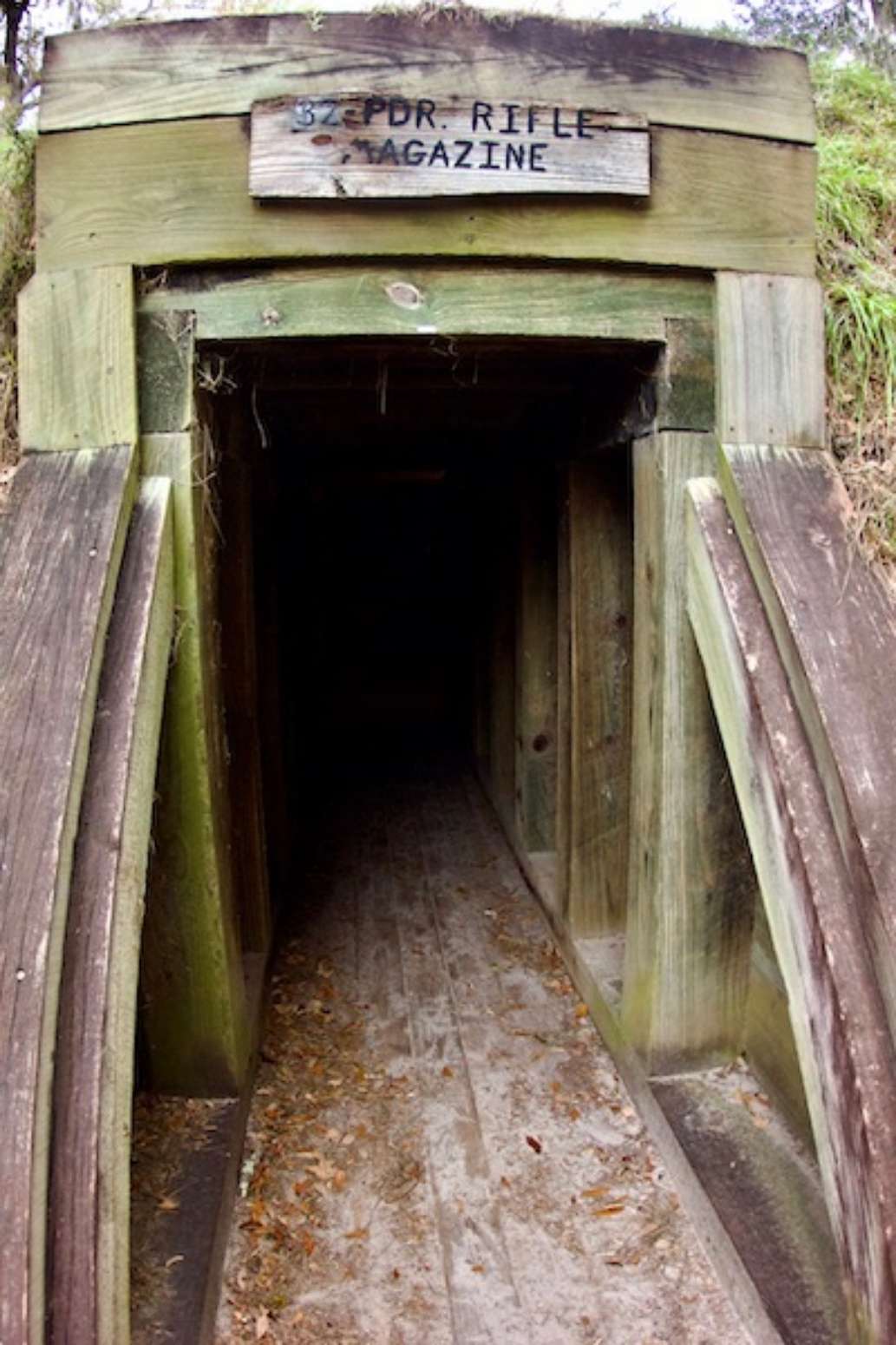 Fort McAllister State Park