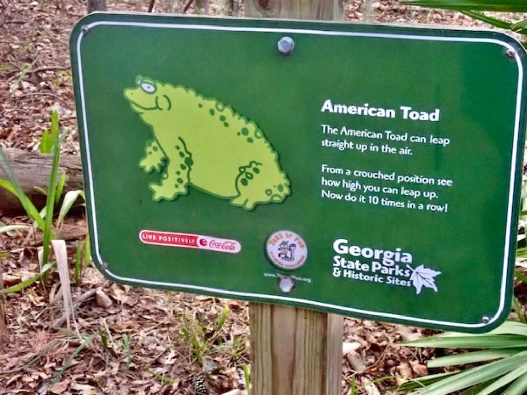 Fort McAllister State Park