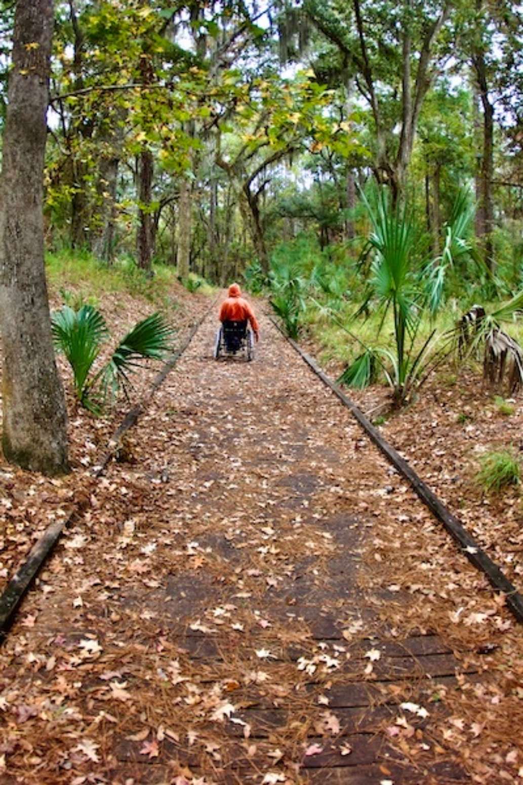 Fort McAllister State Park